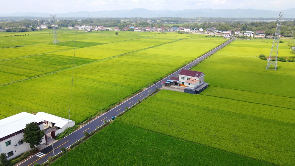 乡村1_副本.jpg